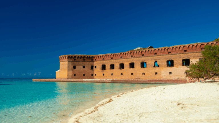 11 Florida Aquatic Adventures That Are Pure Dopamine