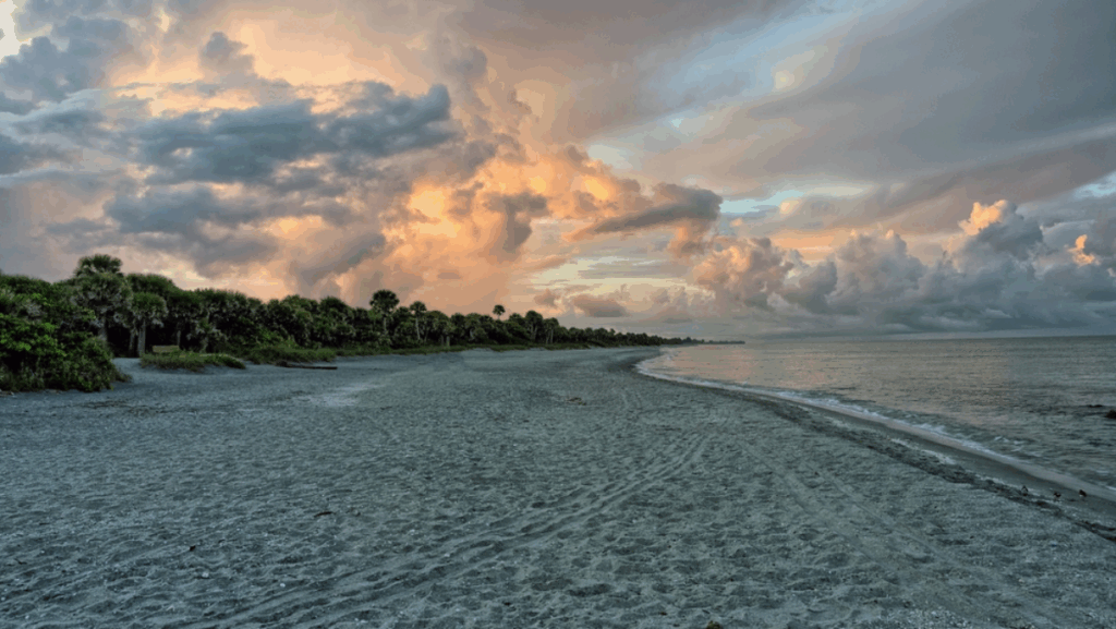 5 Florida Beaches Where You're Most Likely to Find Shark Teeth