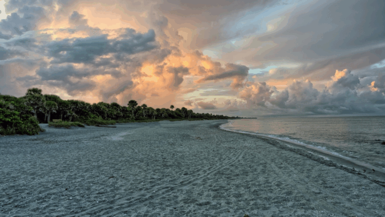 5 Florida Beaches Where You're Most Likely to Find Shark Teeth