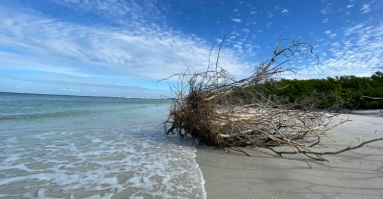 5 Florida Beaches That Practically Disappear at High Tide