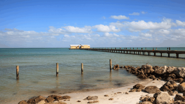 6 Florida Islands You Can Visit Without a Fancy Budget