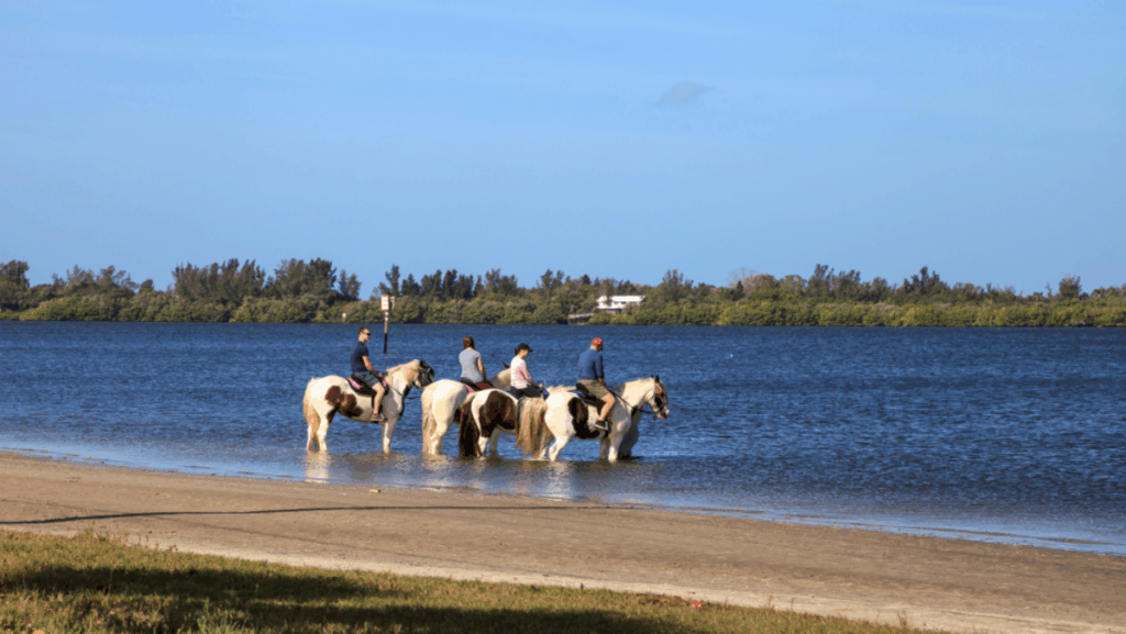 7 Dreamy Places to Ride Horses in Florida (Yes, Including the Beach)