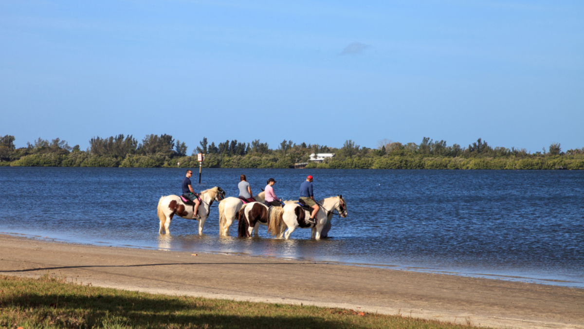 7 Dreamy Places to Ride Horses in Florida (Yes, Including the Beach)