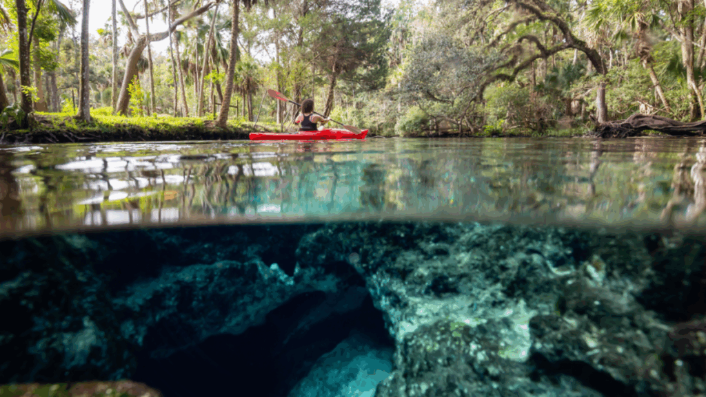 7 Florida Rivers So Scenic You'll Want to Rent a Kayak Immediately