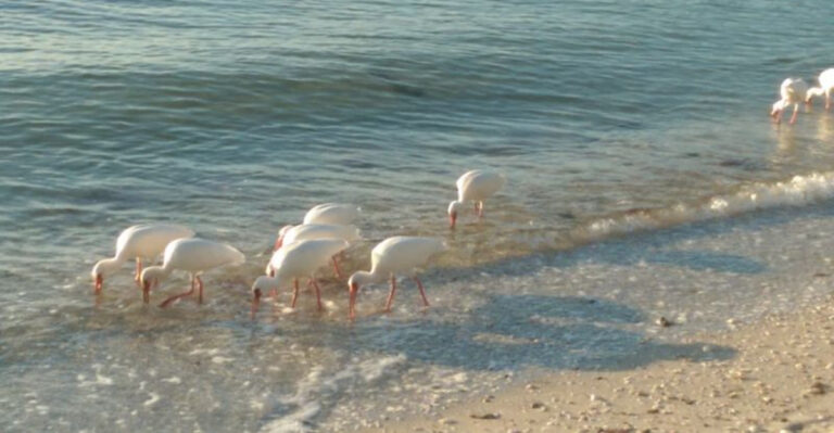 7 Naples Beaches Where Locals Go to Avoid Tourists Completely