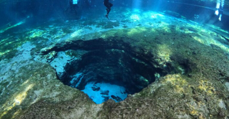 7 Underwater Caves in Florida That Look AI—But Are Real
