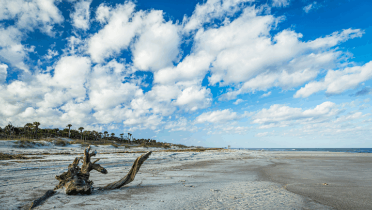 8 Florida Barrier Islands for Your Most Beautiful Escape Yet