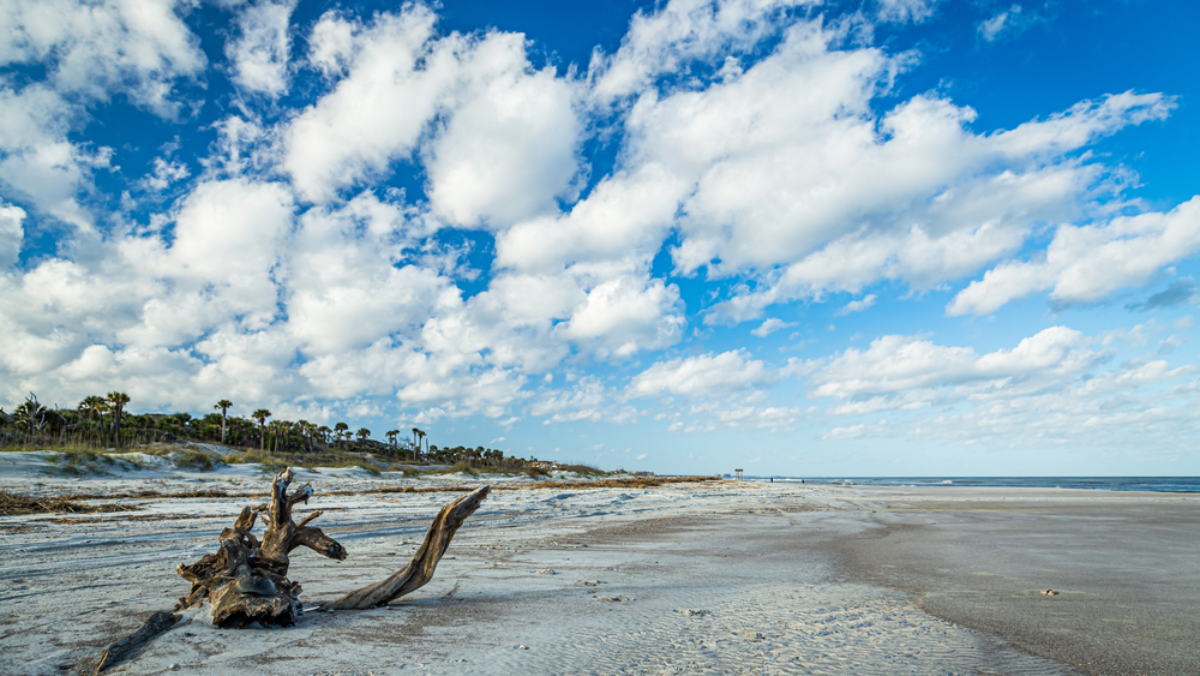 8 Florida Barrier Islands for Your Most Beautiful Escape Yet