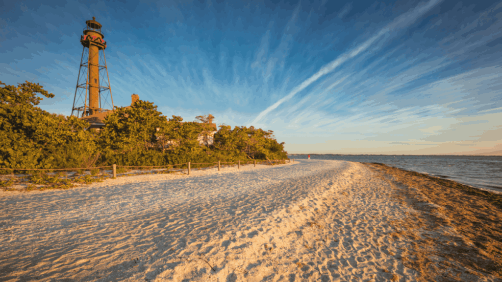 8 Florida Beaches Perfect for Shelling and Sea Life