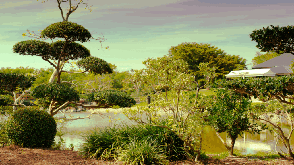 8 Florida Places Where You Can Actually Feel Japanese Culture