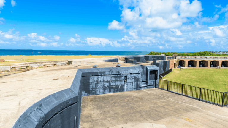 8 Nature Wonders Around Key West That Prove It's Not Just Party Streets