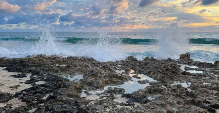 8 Tide Pools in Florida That Look Straight Out of Hawaii