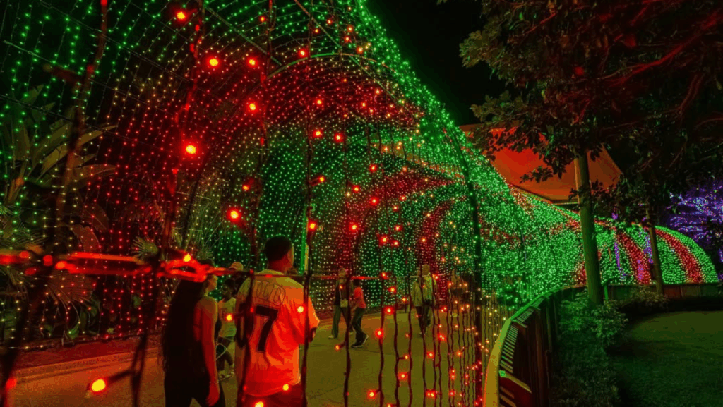 9 Florida Christmas Light Displays That Go Completely Over the Top