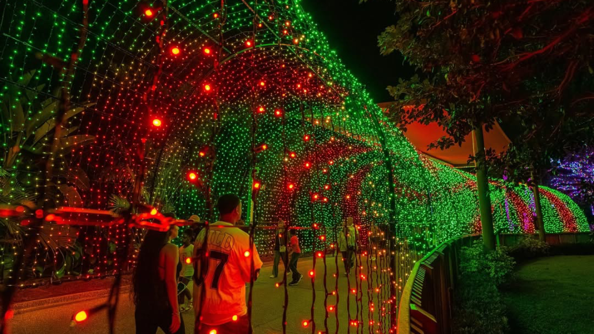 9 Florida Christmas Light Displays That Go Completely Over the Top