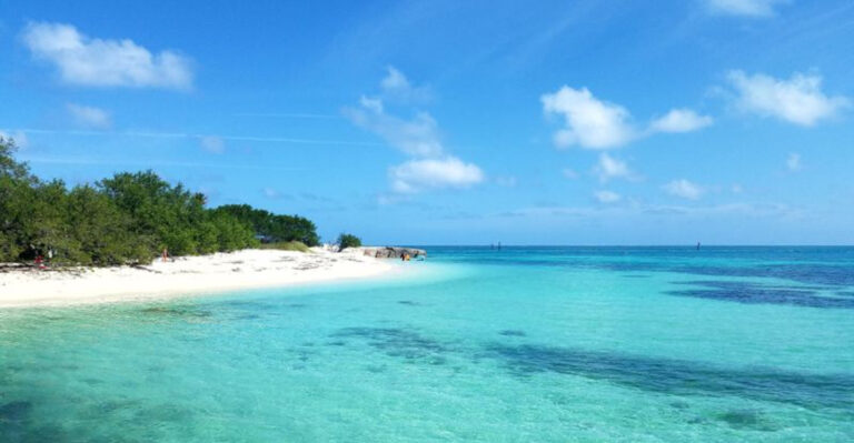 9 Florida Beach Parks With Crystal-Clear Water Even in Winter