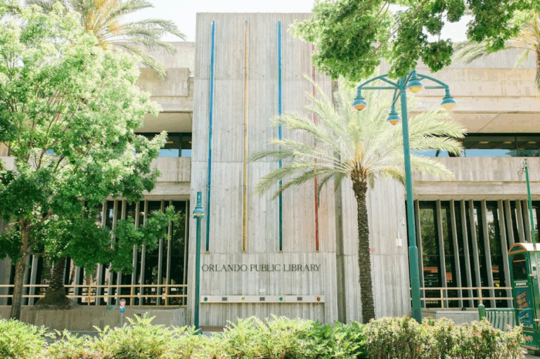 Florida's Biggest (and Coziest) Libraries That Feel Like Bookish Paradise