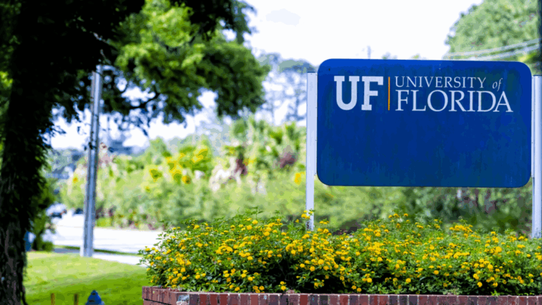 Florida's Top-Rated Universities You'll Actually Want to Apply To
