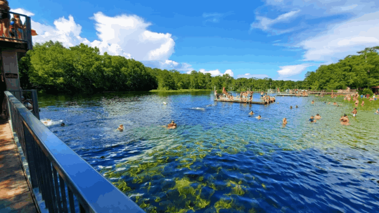 History, Nature & Zero Crowds: The Best Day Trips From North Florida