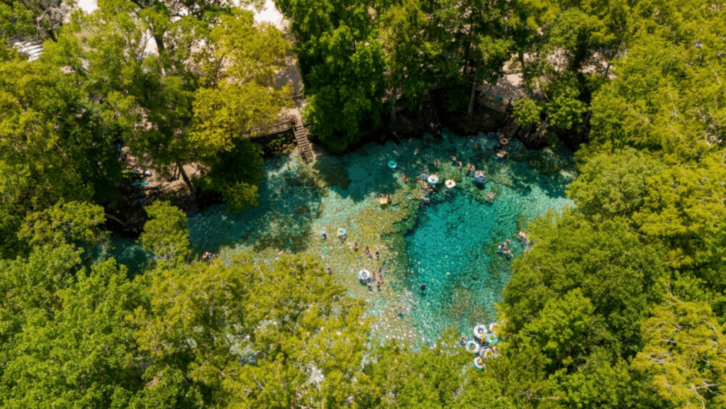 The 8 Bluest Springs in Florida (Yes, They're Real)