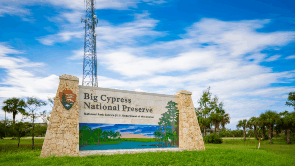 The 8 Most Unexpected Landscapes in Florida