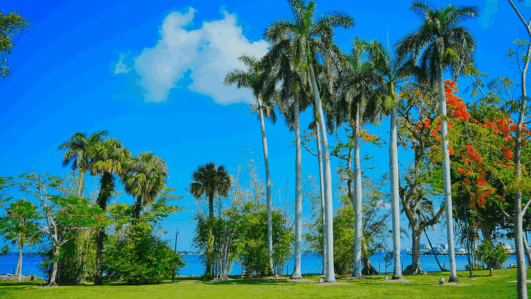 The Best Budget-Friendly Florida Destinations for a Warm Winter Escape