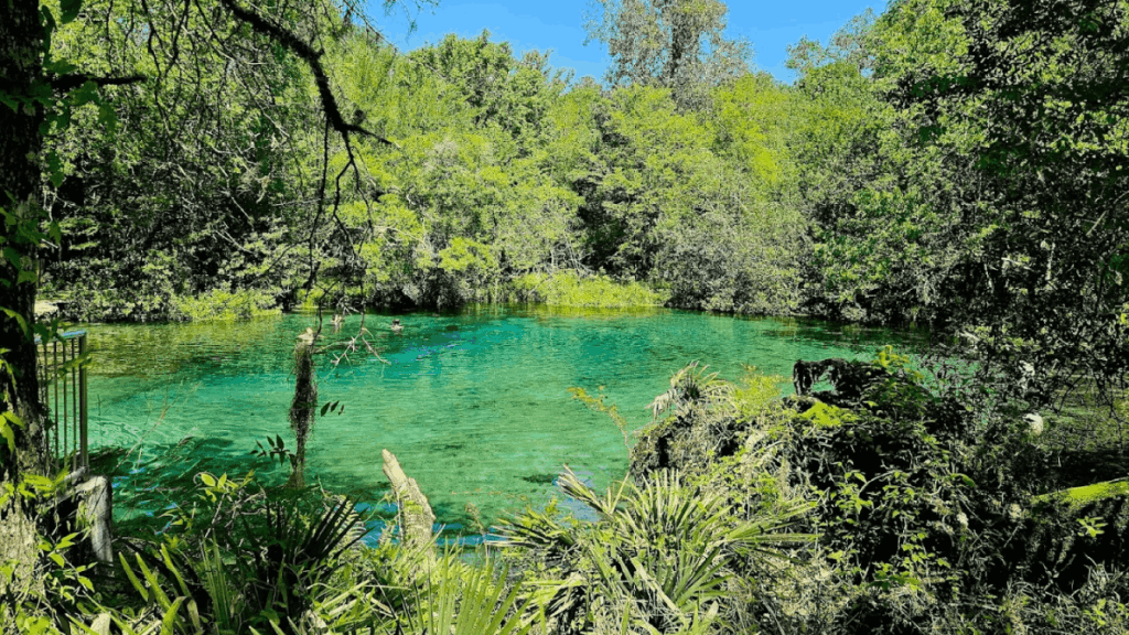 The One Florida River Float Everyone Should Do at Least Once