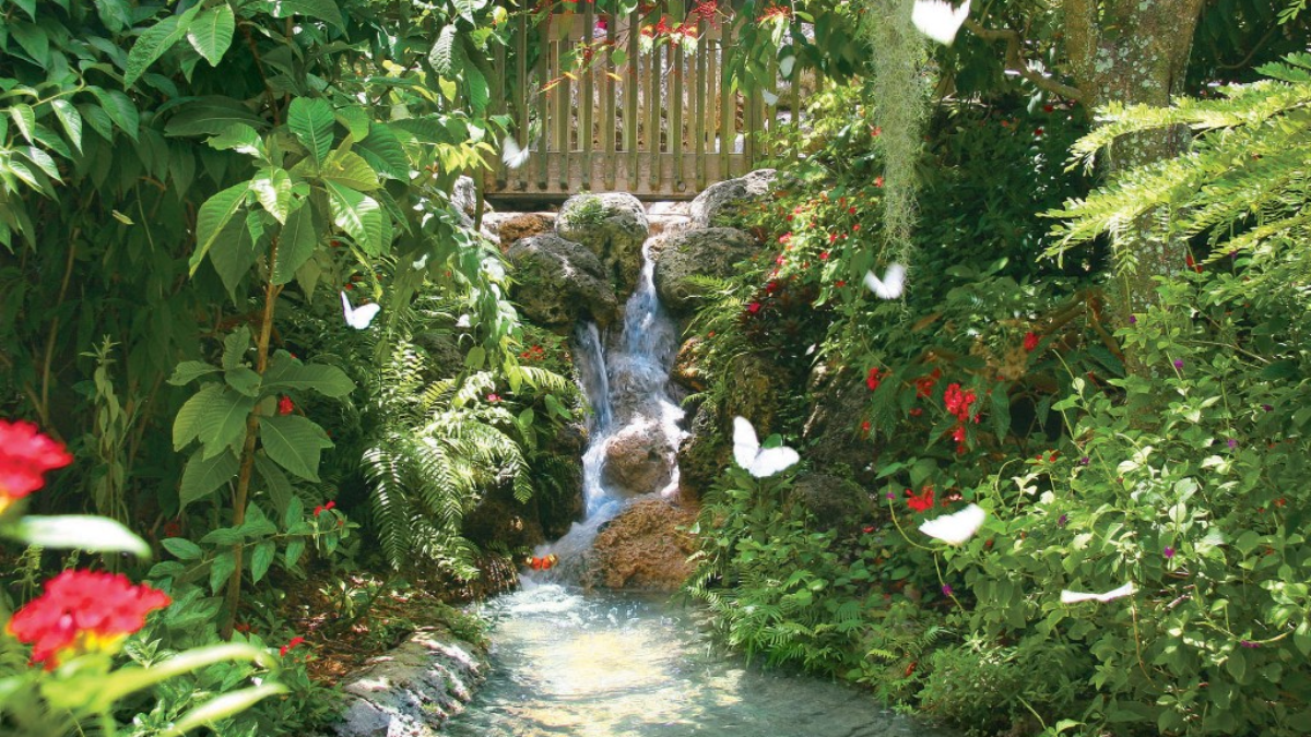 This Florida Beach Town Is Also the Butterfly Capital of the World—Yes, Really