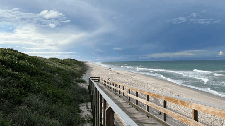 This Florida Coast Becomes One of the Best Stargazing Spots in the State After Dark