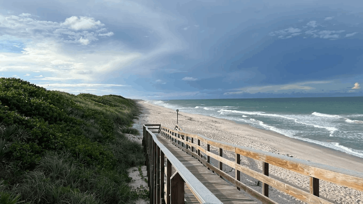 This Florida Coast Becomes One of the Best Stargazing Spots in the State After Dark