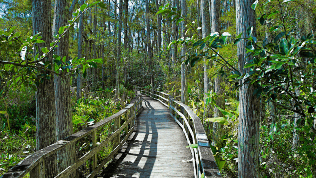 Where to Go in Florida If You Crave Fresh Air and No Crowds