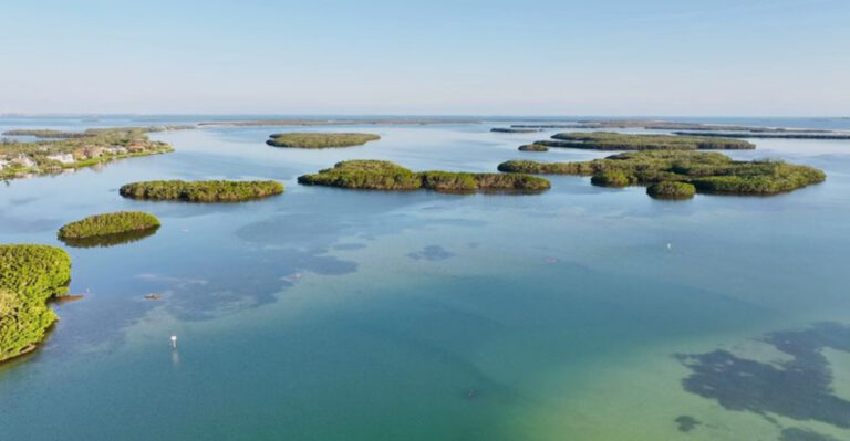 Discover the Hidden Florida Island With No Roads and No Crowds