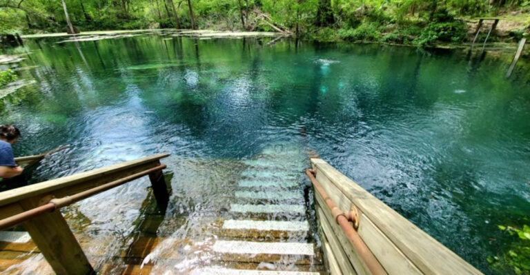 Florida’s Most Intense Hiking Trail Isn’t for the Claustrophobic