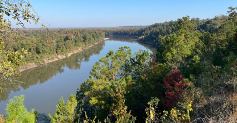 Incredible Florida Views You Can Reach Without Advanced Hiking Skills