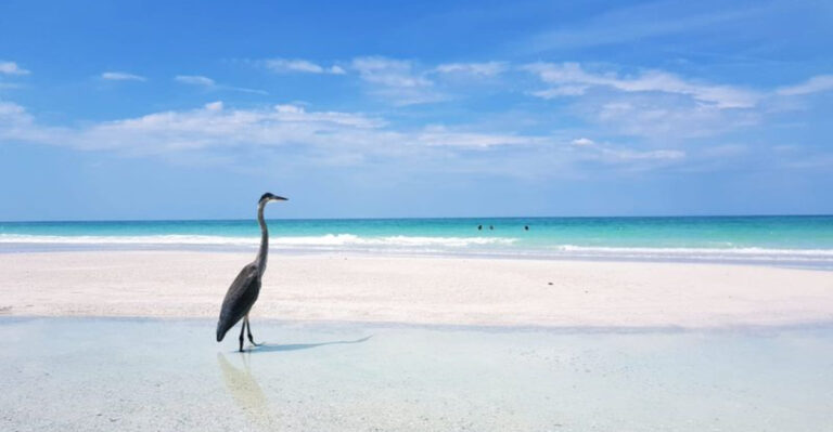 Meet the Tiny Florida Island Locals Call ‘the Maldives of the South’