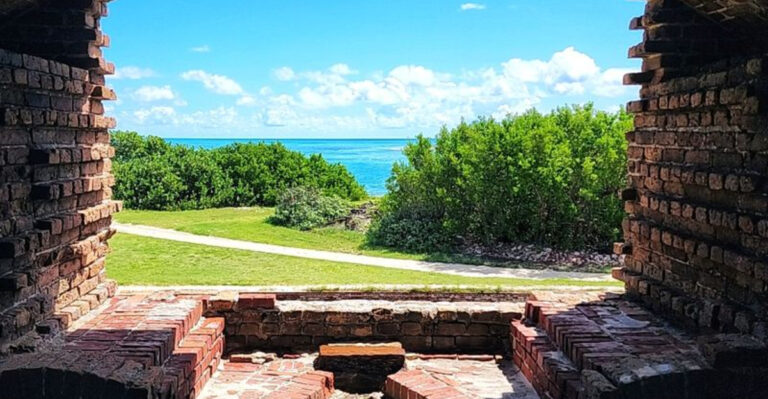 The 6 Most Surreal Landscapes in Florida That Look Straight Out of Another Country