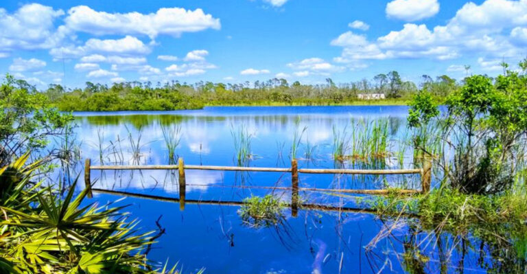 The Most Calming Park in America Is Hidden in This Southern State