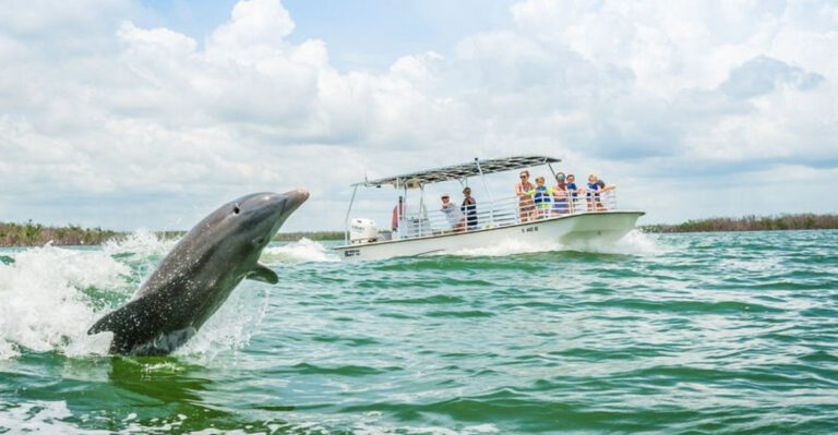 The Tiny Florida Island Where Wild Dolphins “Wave” at Boats