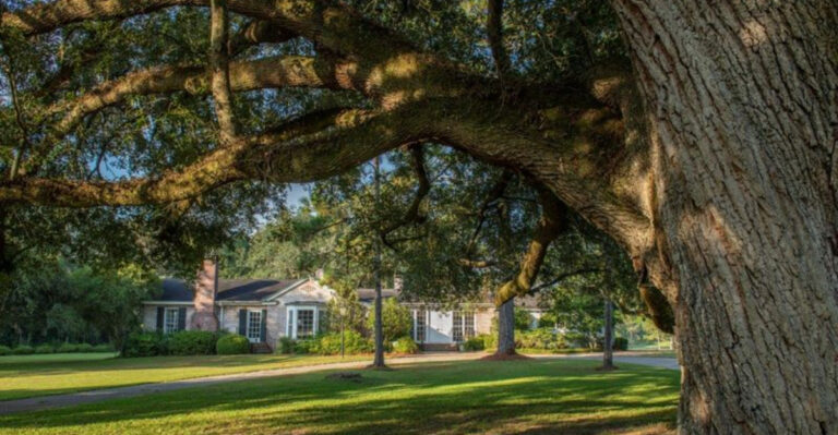 This Tallahassee Retreat Is the Reset You Didn’t Know You Needed
