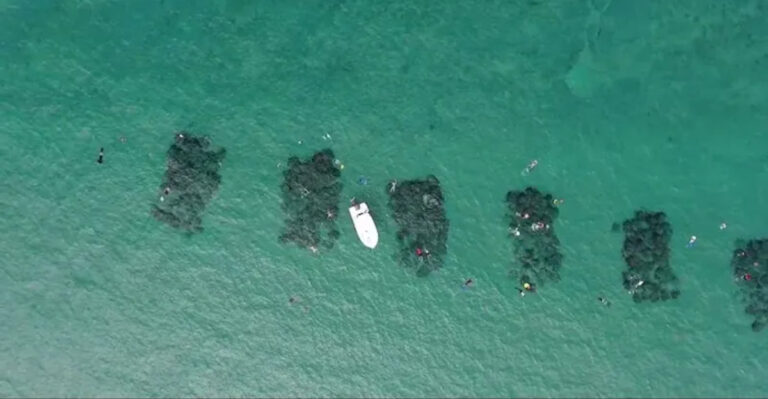 Uncover Florida’s ‘Flying Manta Ray’ Beach Where Rays Leap From The Water