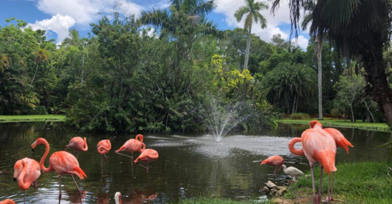 Where Locals Go in Sarasota Instead of Siesta Key