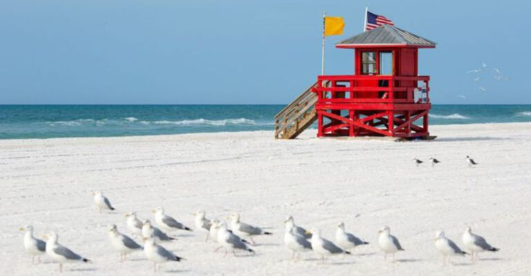 You’d Never Guess These Places Are in Sarasota