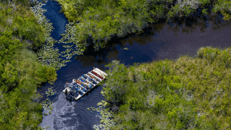 10 Incredible Ecotourism Experiences You Can Only Have in Florida