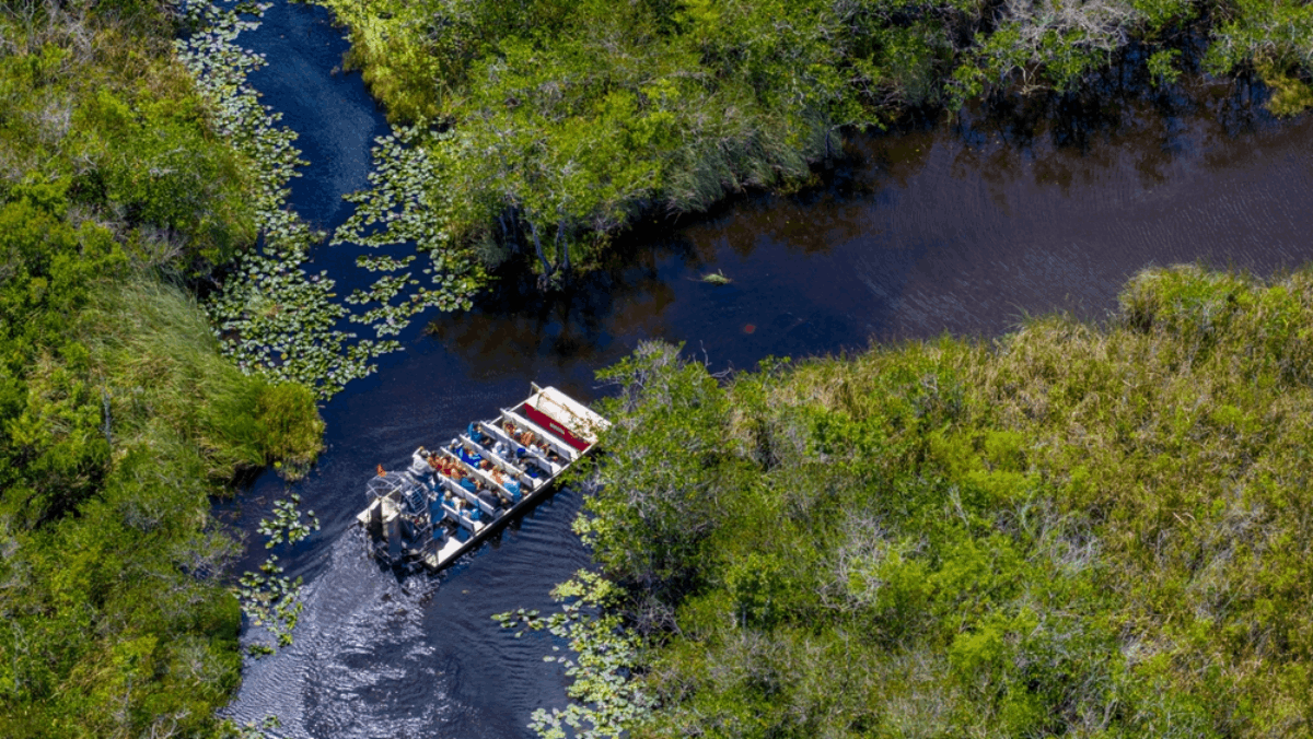 10 Incredible Ecotourism Experiences You Can Only Have in Florida