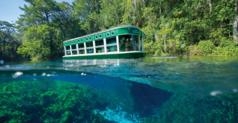 10 Glass-Bottom Boat Tours in Florida Worth Taking