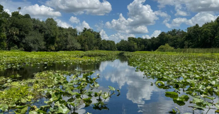 11 Florida Places You Can Float, Paddle, or Drift For Hours