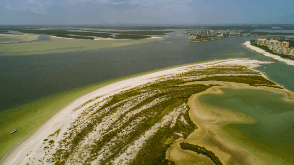 8 Florida Beaches You Can Only Reach by Boat or a Hike