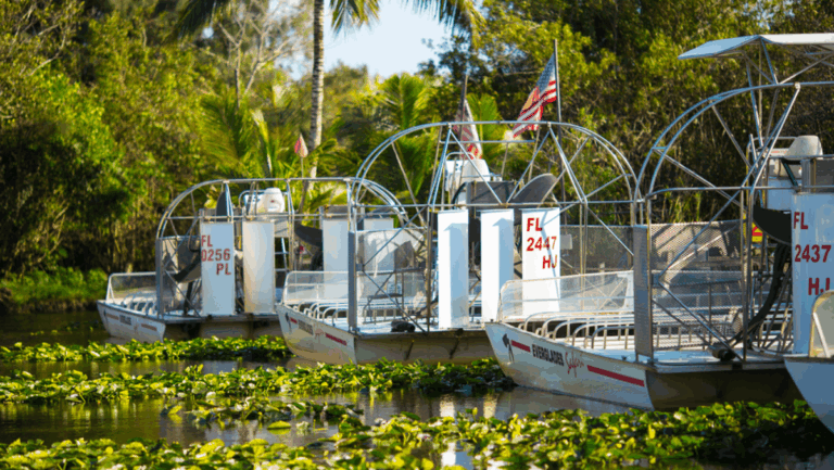 8 Florida Boat Tours That Show Off the State's Most Stunning Waterways