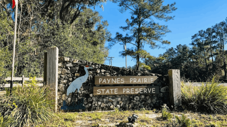 8 Florida Nature Spots Locals Say Are Better Than the Beaches