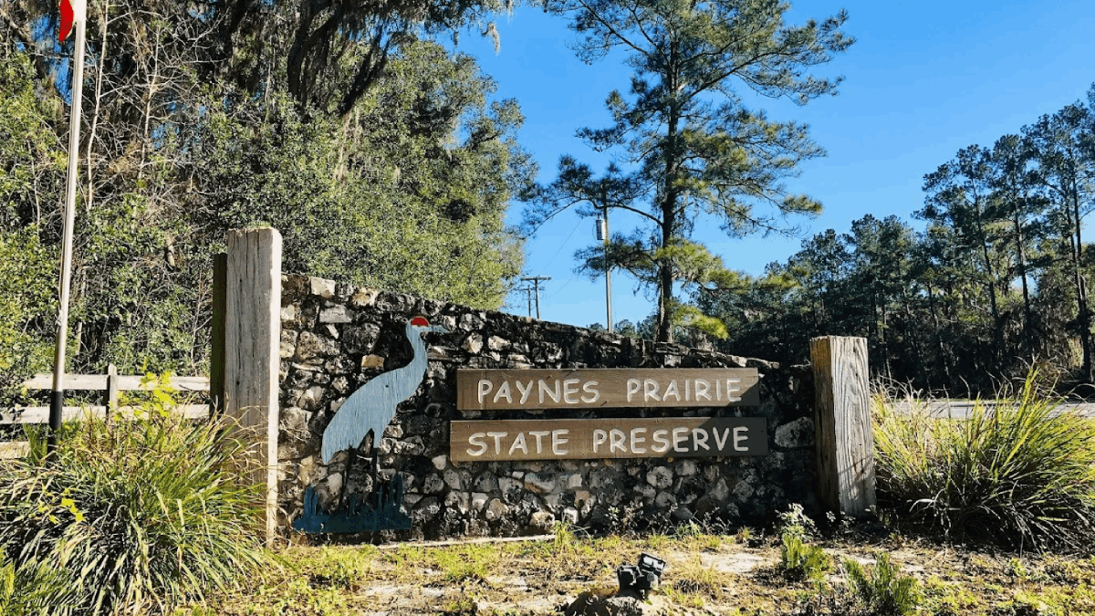 8 Florida Nature Spots Locals Say Are Better Than the Beaches