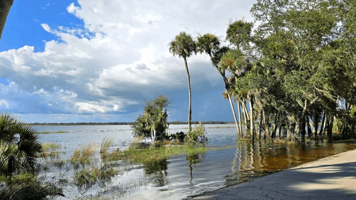 8 Massive Florida State Parks That Feel Like National Parks